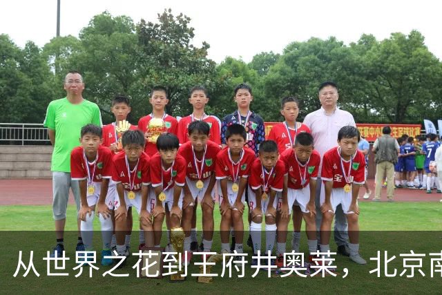 从世界之花到王府井奥莱，北京南城这家商业巨无霸又叒叕倒下了！