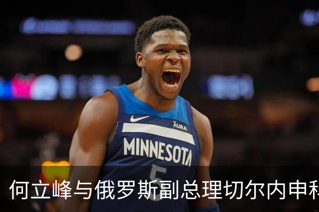 何立峰与俄罗斯副总理切尔内申科共同主持召开中俄总理定期会晤委员会第三十次会议