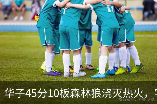 华子45分10板森林狼浇灭热火，字母哥首秀35+6三球21分6助攻