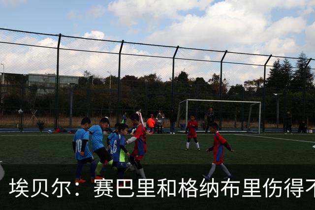 埃贝尔：赛巴里和格纳布里伤得不轻；不会在任何赛事中弃权