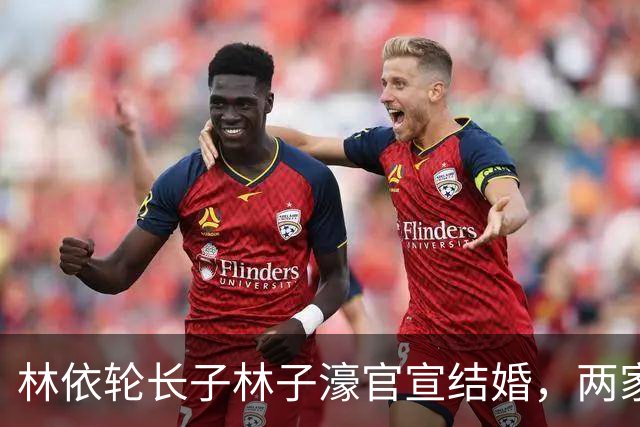 林依轮长子林子濠官宣结婚，两家人合照曝光，小儿子罕见露面颜值吸睛