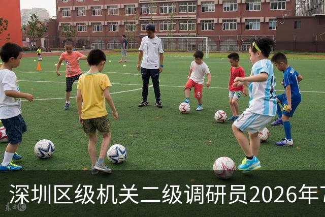 深圳区级机关二级调研员2026年7月退休，养老金能过1.5万吗？