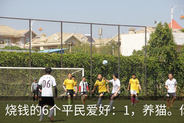 烧钱的6个平民爱好：1，养猫。你以为养的是猫…