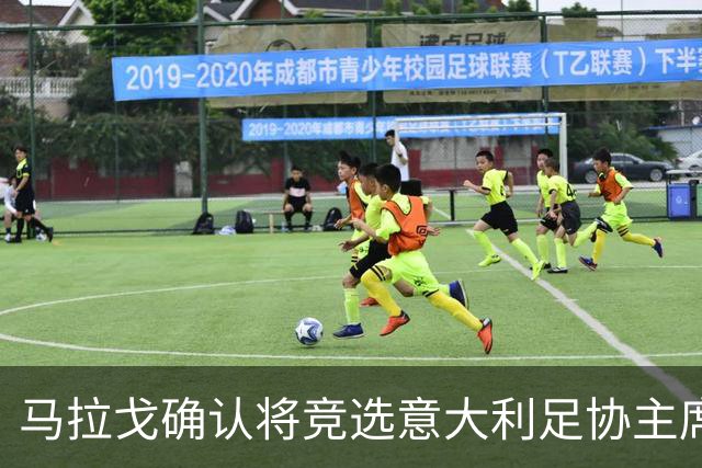 马拉戈确认将竞选意大利足协主席：需遵循程序并获得足够支持